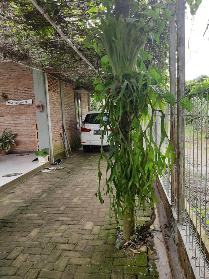 Bua Guest House Medan Exterior photo
