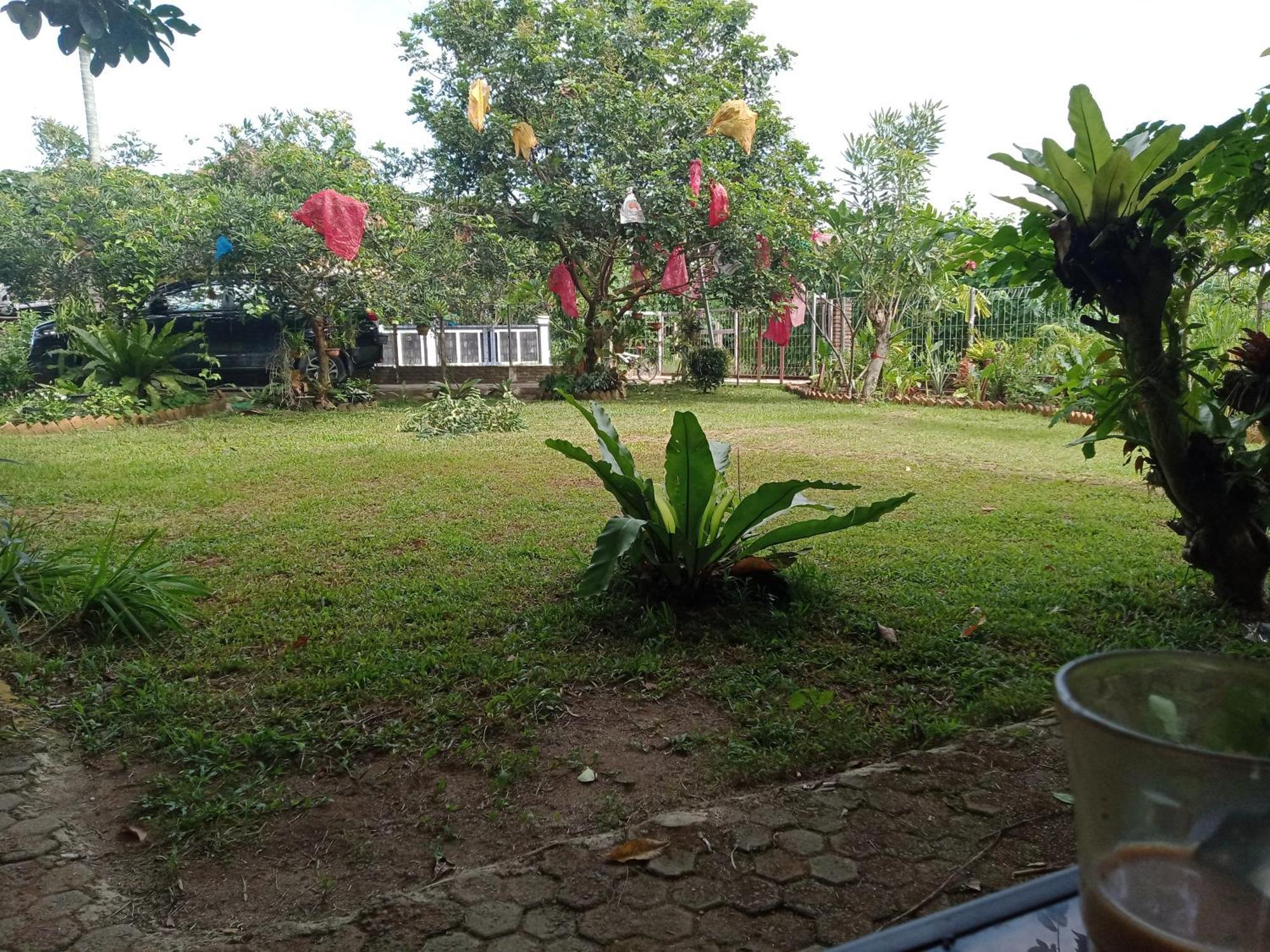 Bua Guest House Medan Exterior photo